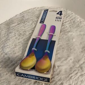 Cambridge "Rainbow" Stainless Steel 4pc. Dinner Spoons